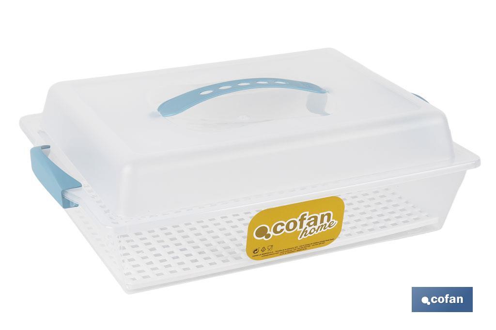 TARTERA RECTANGULAR PAVLOVA CON ASAS OPACA AZUL 38 X 28 X 13 CM