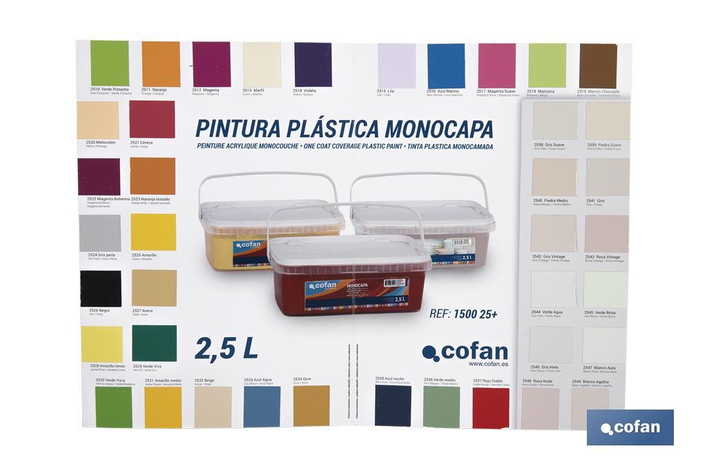 Carta de Colores para Pintura Plástica Monocapa con 40 Muestras de Color